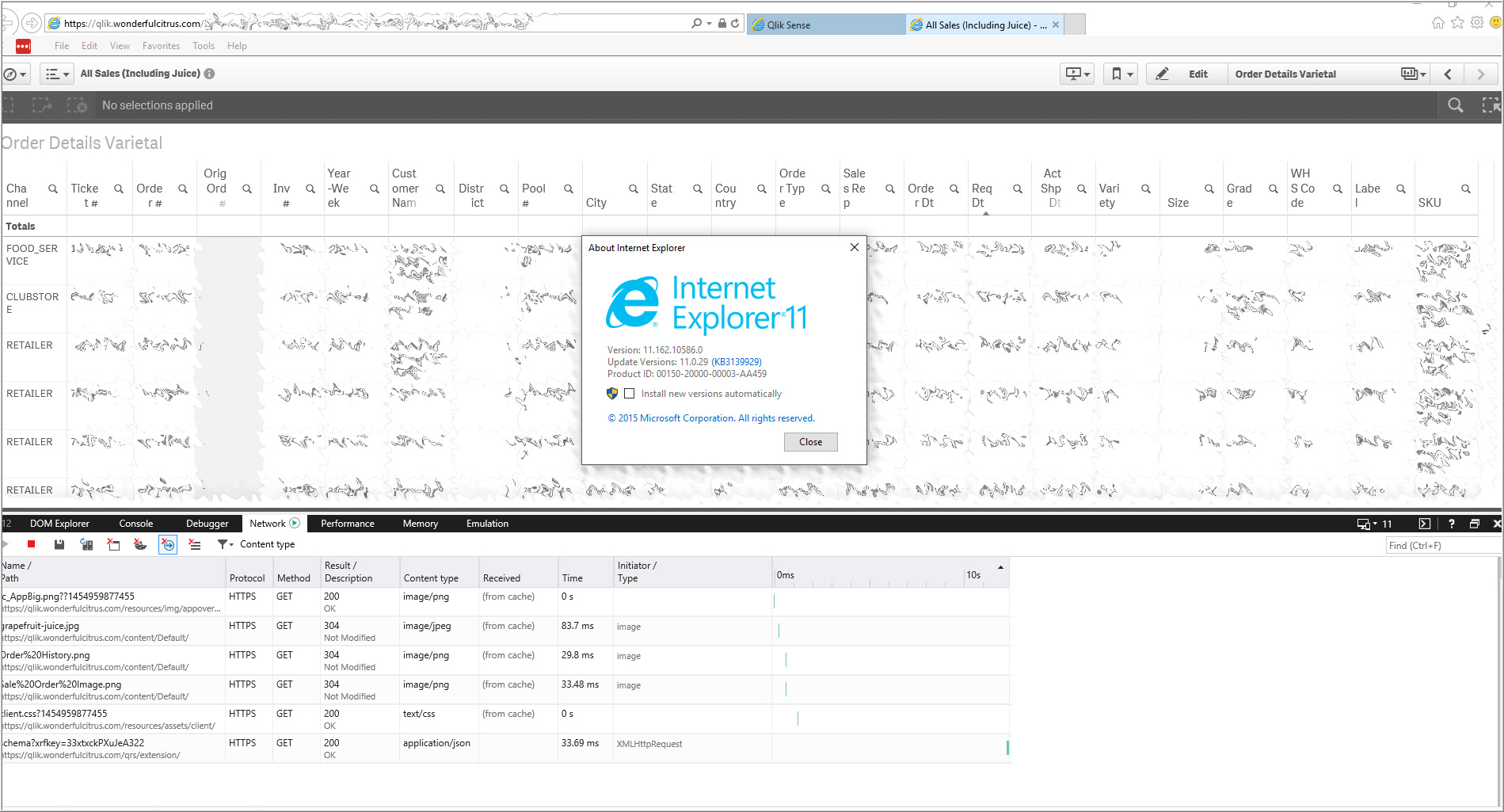 IE Qlik.jpg